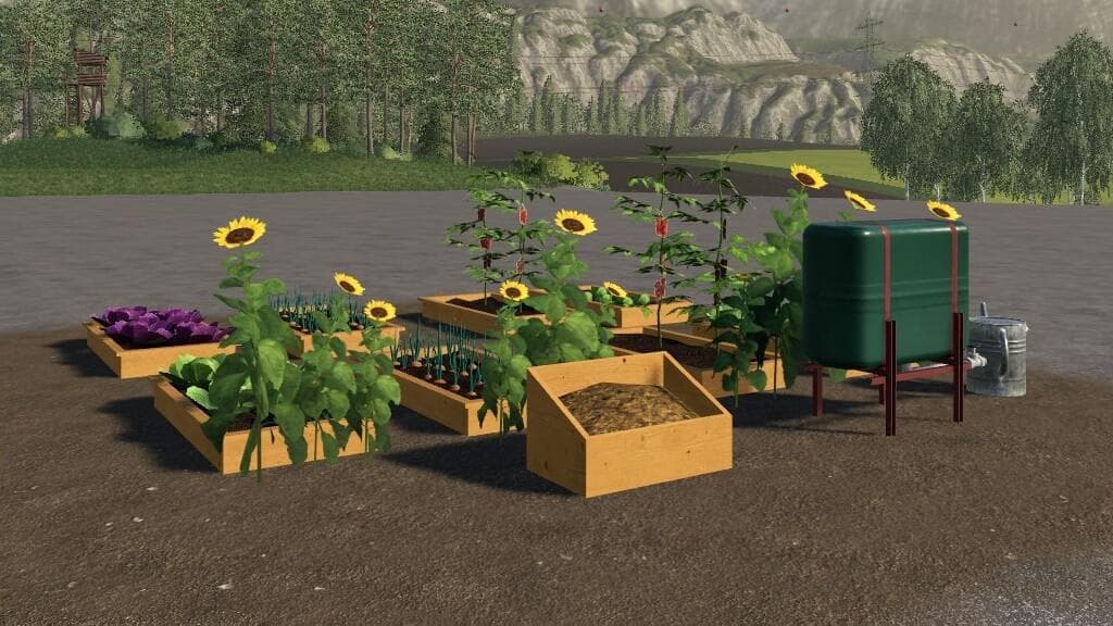 VEGETABLE GARDEN 4