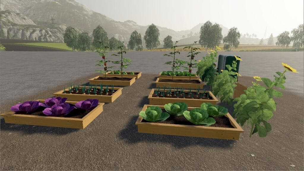 VEGETABLE GARDEN 2