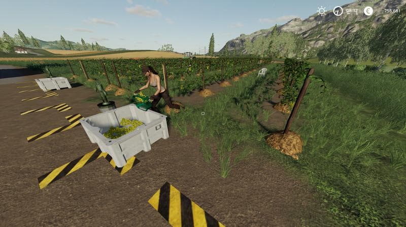 VINES PACK