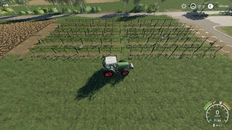 VINEYARD 4