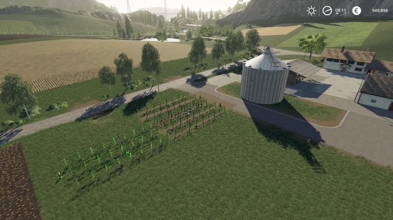 VINEYARD 3