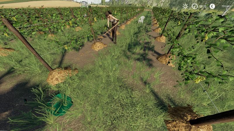 VINEYARD 2