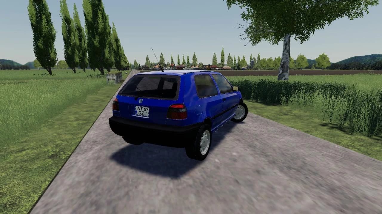VOLKSWAGEN GOLF III 2