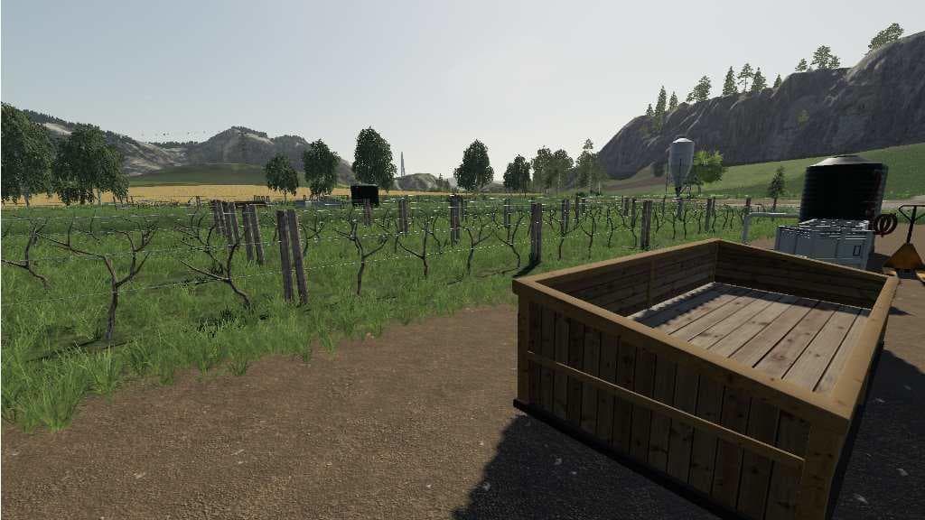 Vineyard 5