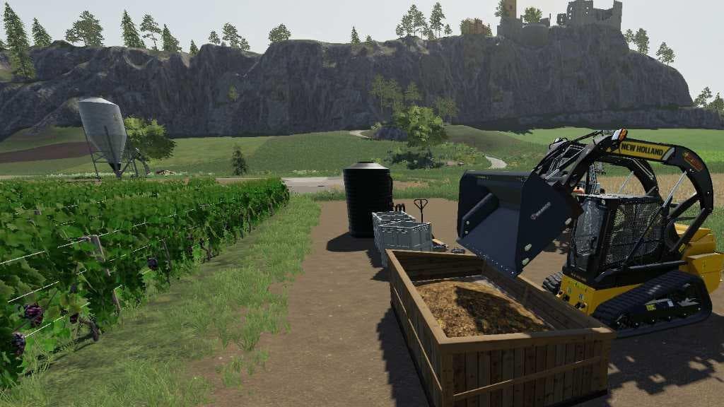 Vineyard