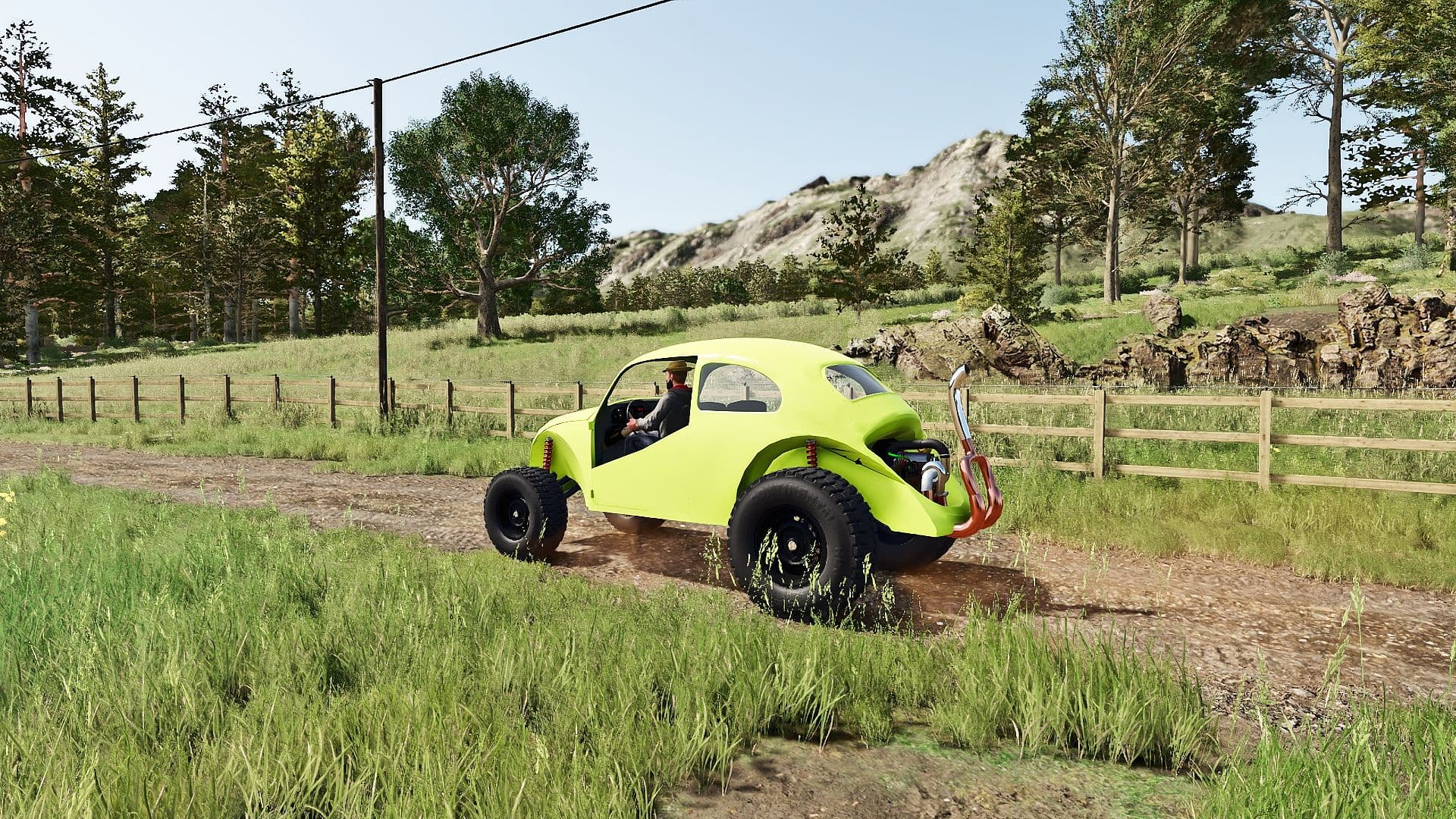 Volkswagen Beetle Brazil 2