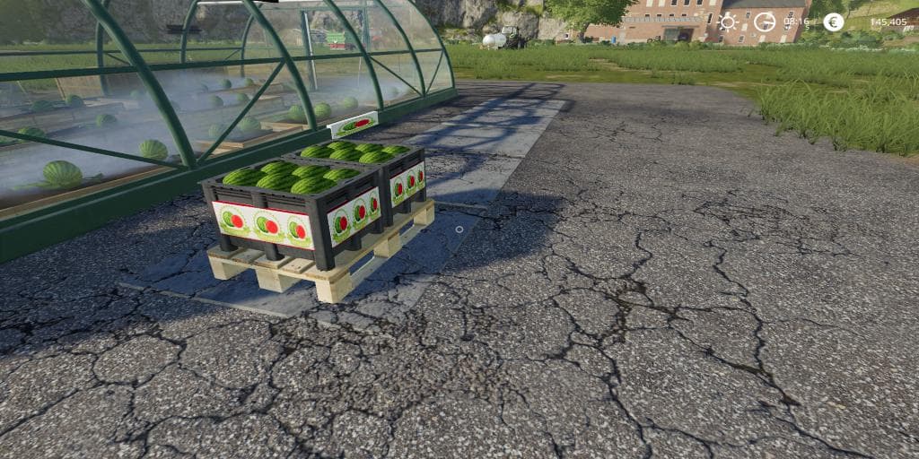 WATEREMELON PRODUCTION 2