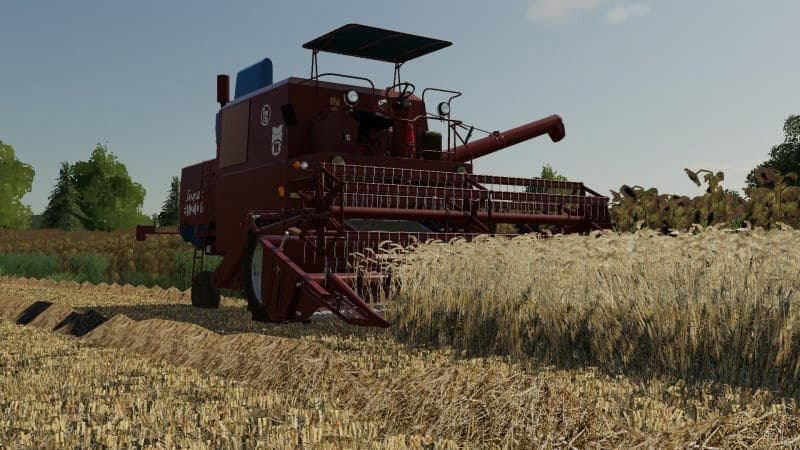 BARLEY / WHEAT TEXTURE 3