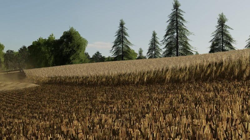 BARLEY / WHEAT TEXTURE 2
