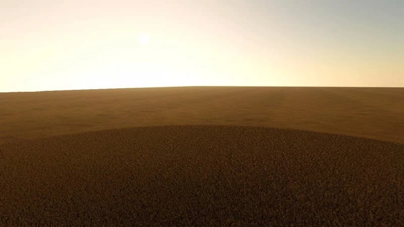 WHEATCHALLENGE 3