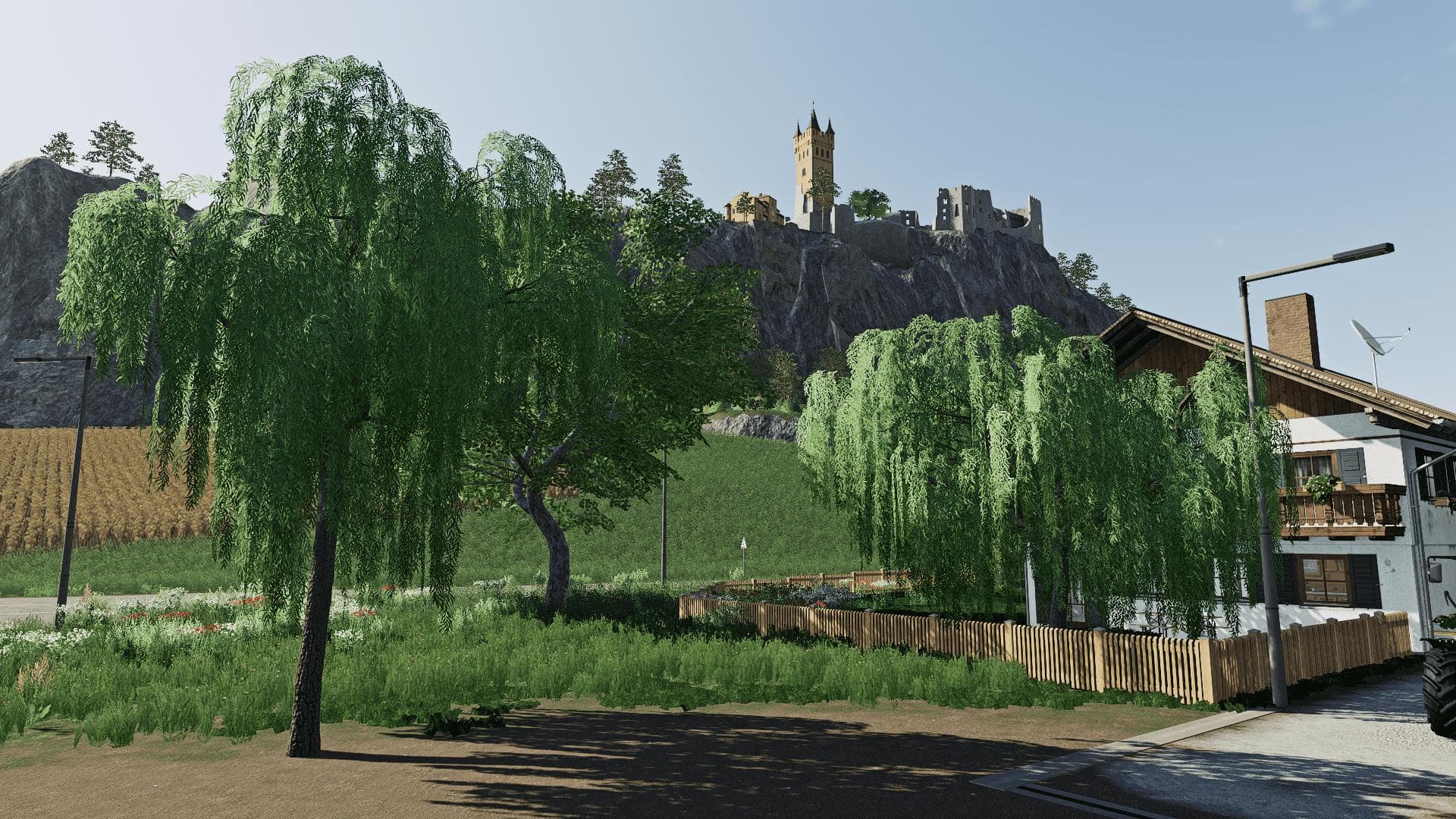 WILLOWS TREES