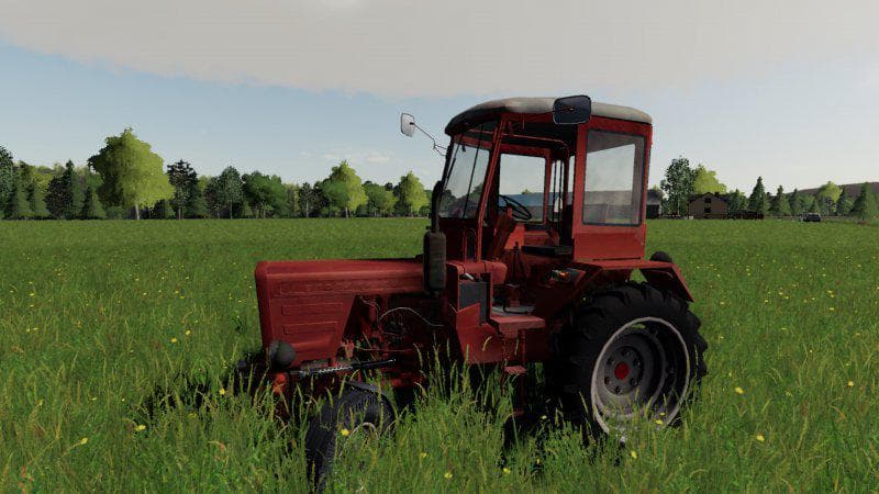 WLADIMIREC T25