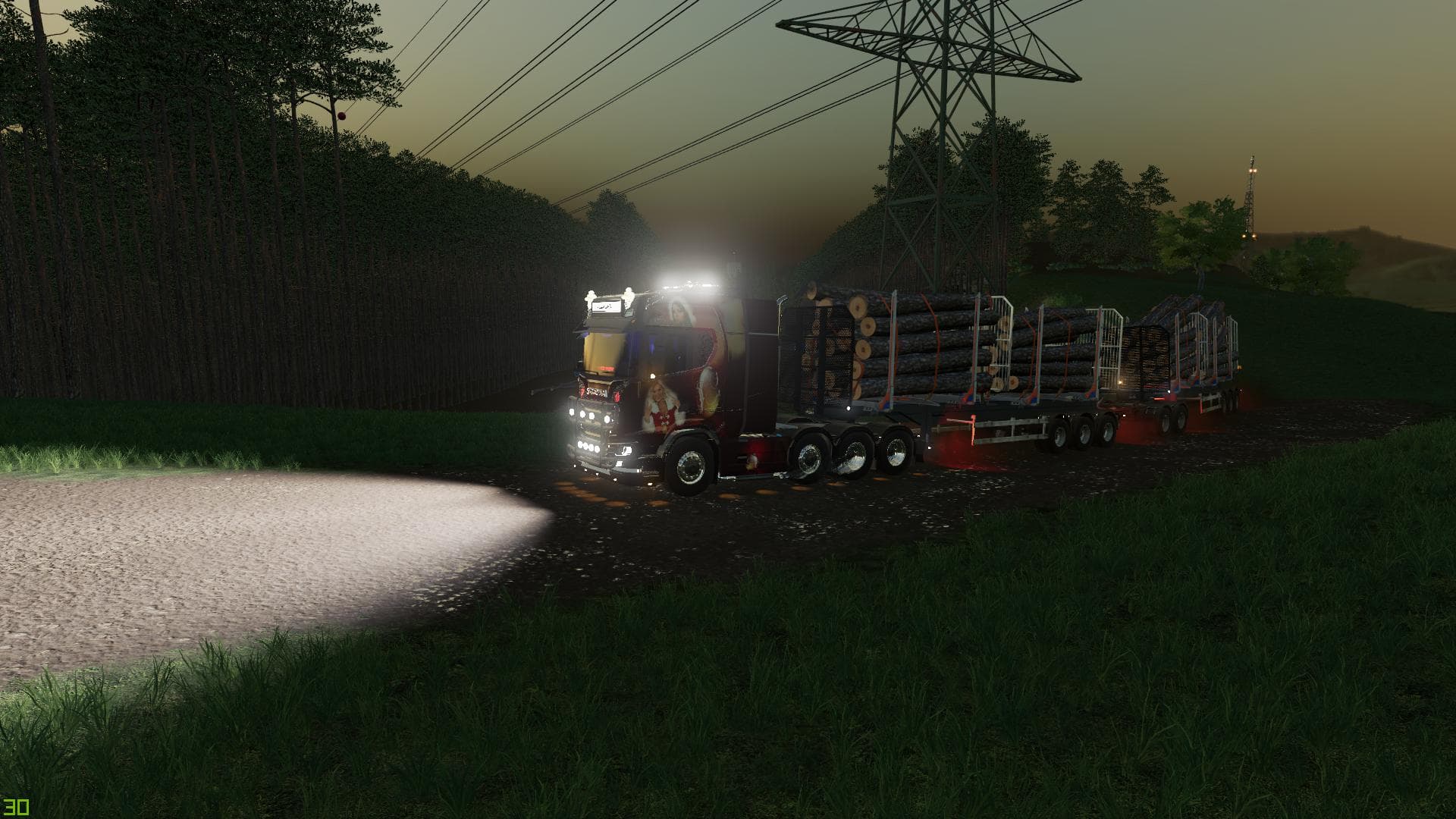 WOOD TRAILER ROADTRAIN 4