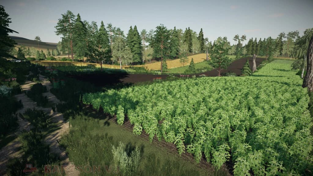 WOSNICE MAP 3