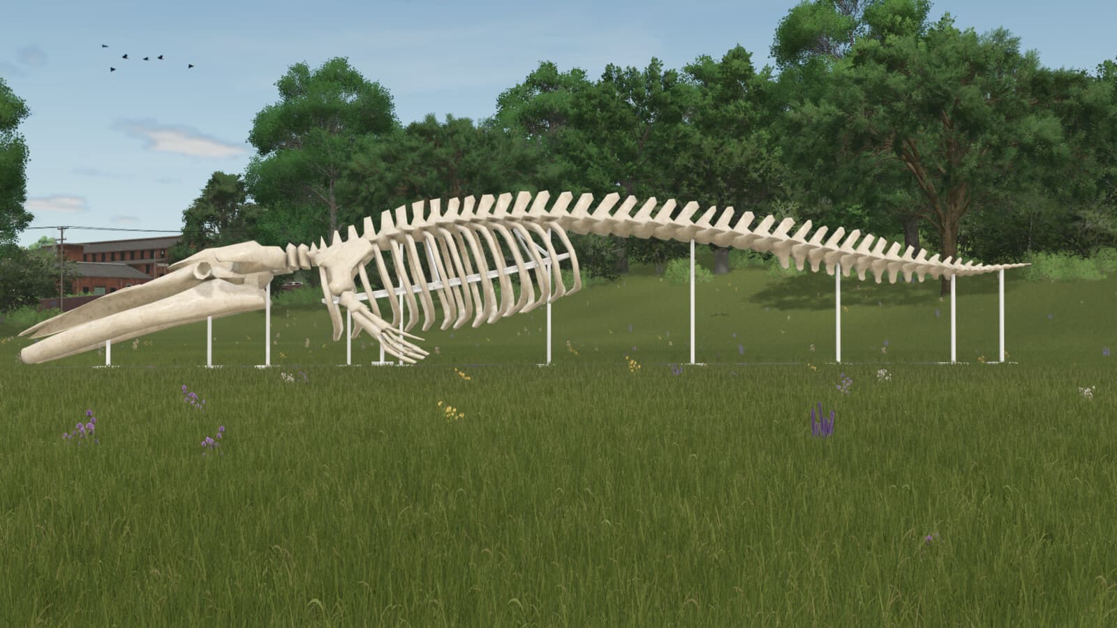 Whale Skeleton Sculpture 3