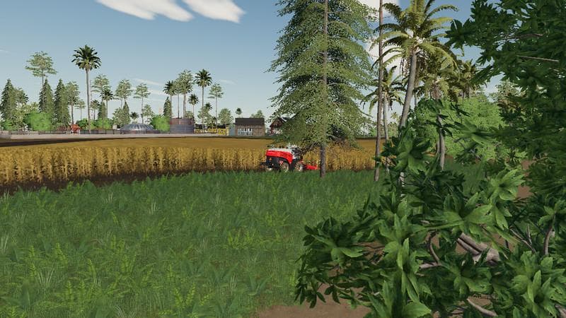 Wild island life 2