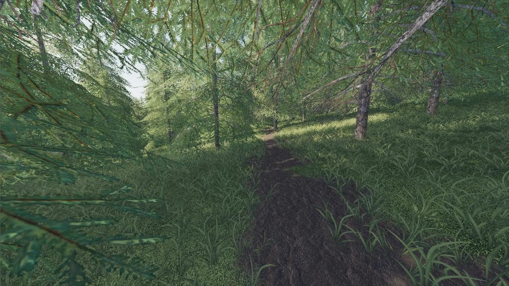 WILLAMINA FOREST 2