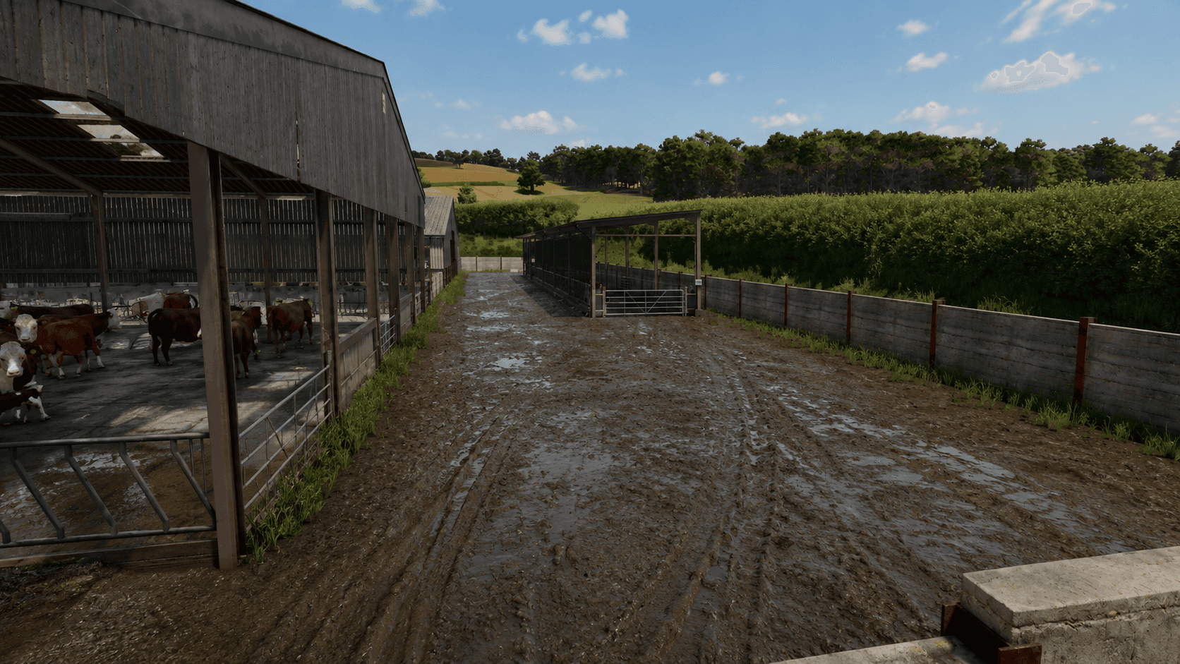 Witcombe farm build 4