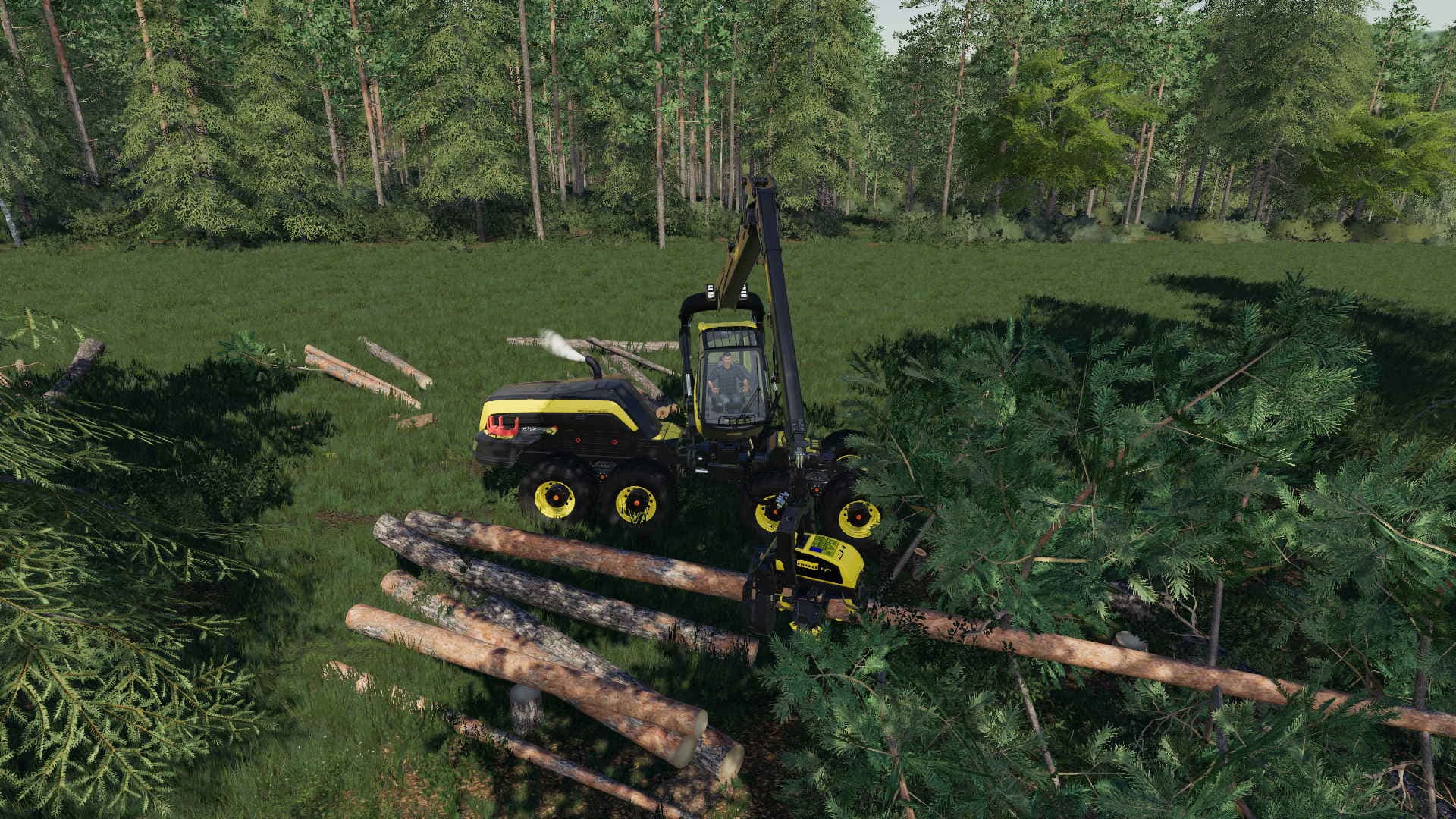 Wood Sound 4