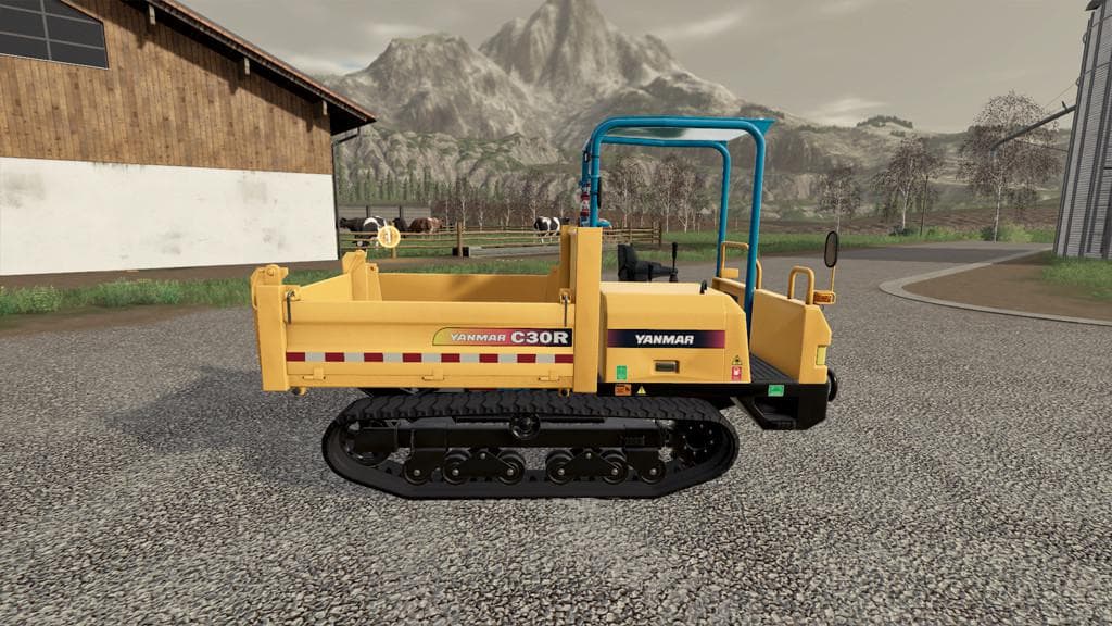 Yanmar C30R-2B 4