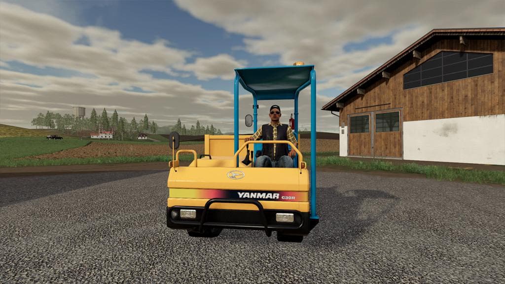 Yanmar C30R-2B 2