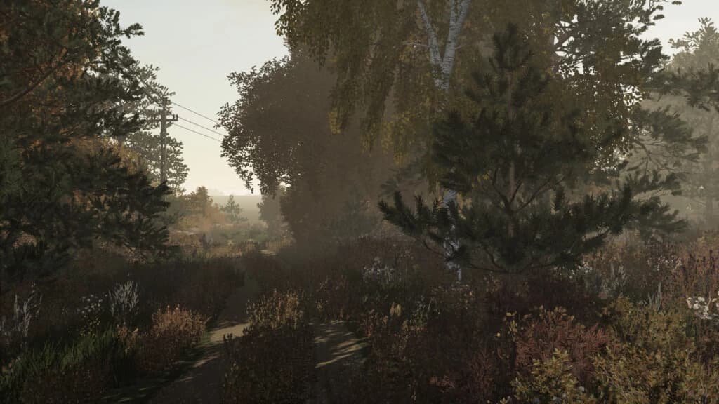 ZDZIECHOW MAP 2