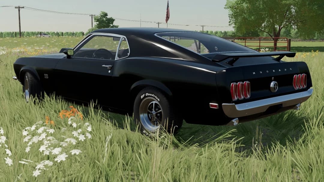 1969 FORD MUSTANG 2