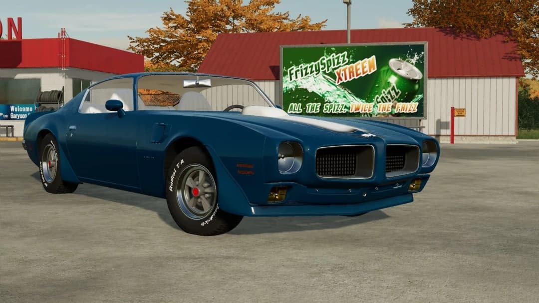 1970 PONTIAC FIREBIRD/TRANS AM 3
