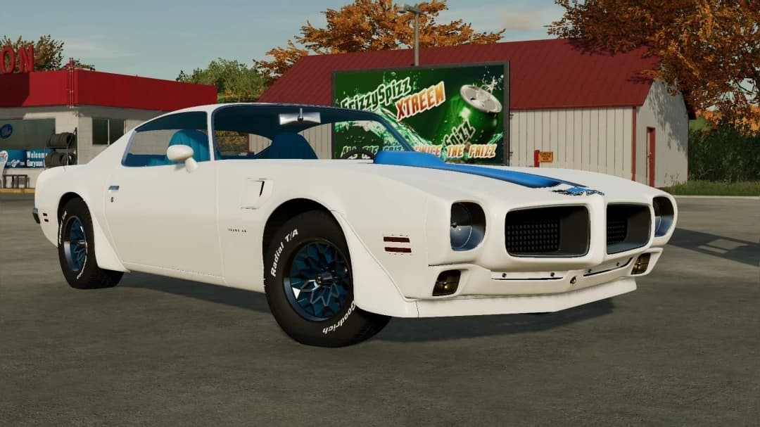 1970 PONTIAC FIREBIRD/TRANS AM 2