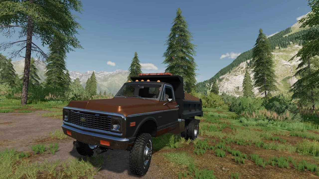 1971 CHEVROLET DUMP TRUCK 3