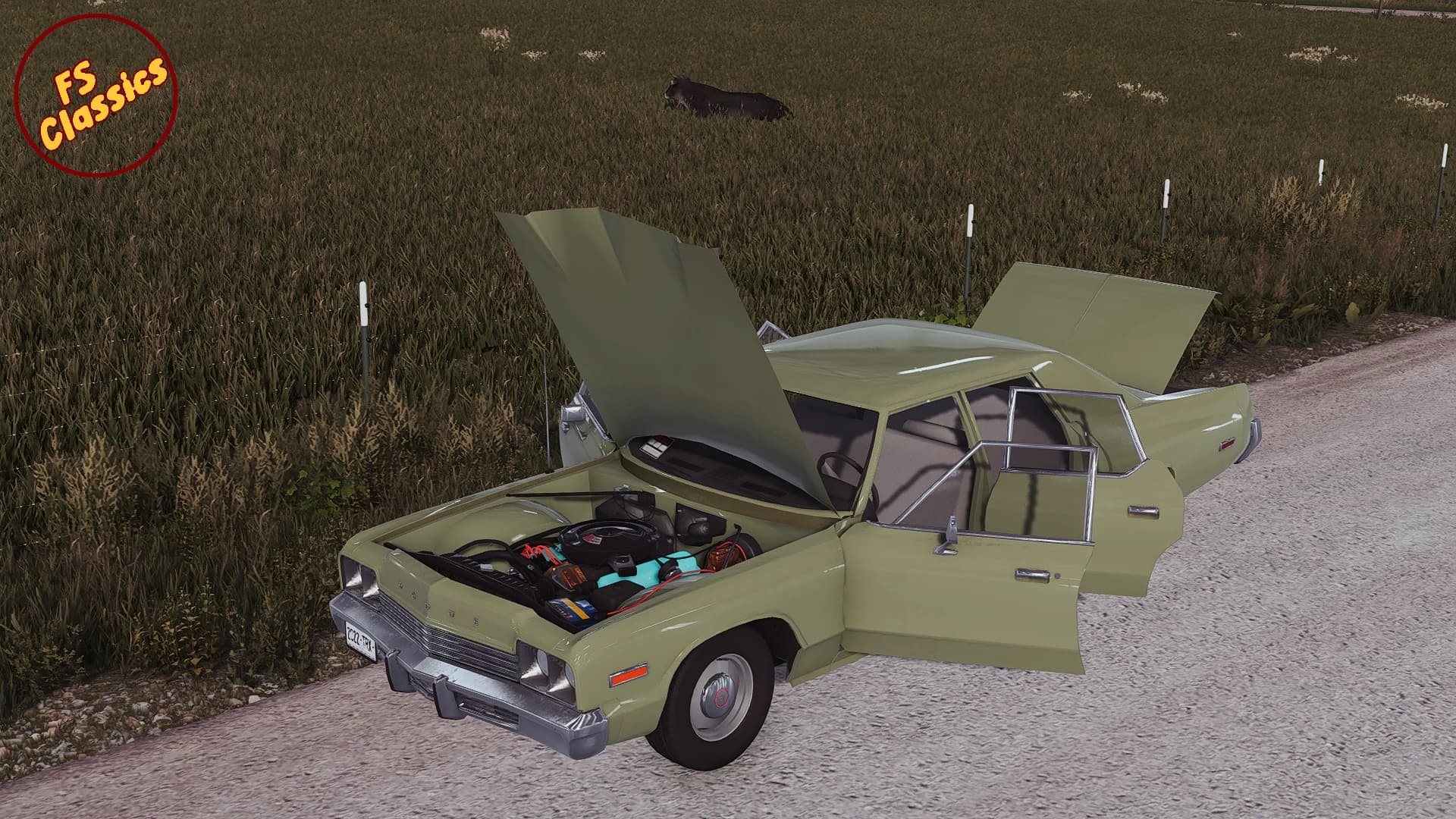 1974 DODGE MONACO 3