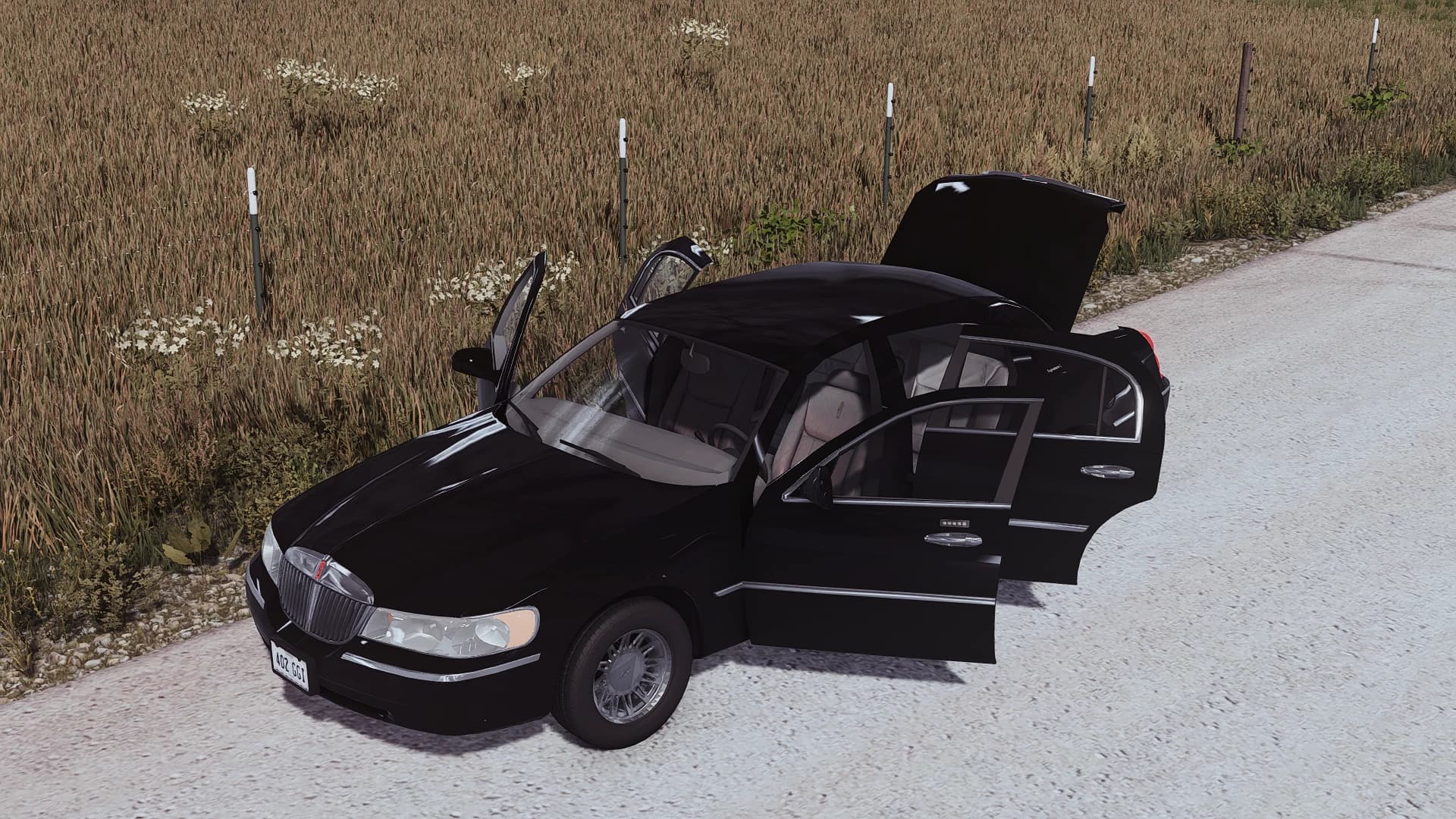 2002 LINCOLN TOWN CAR 5