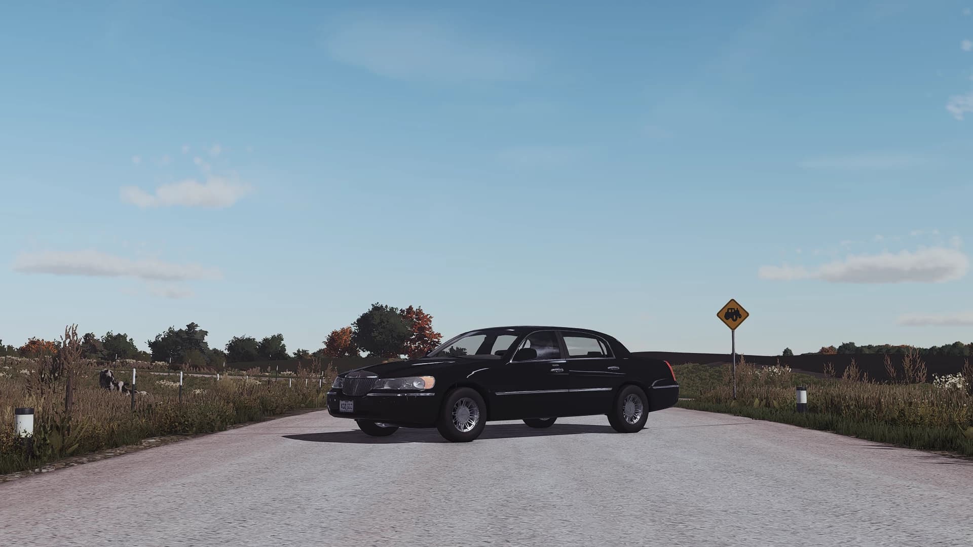 2002 LINCOLN TOWN CAR 4