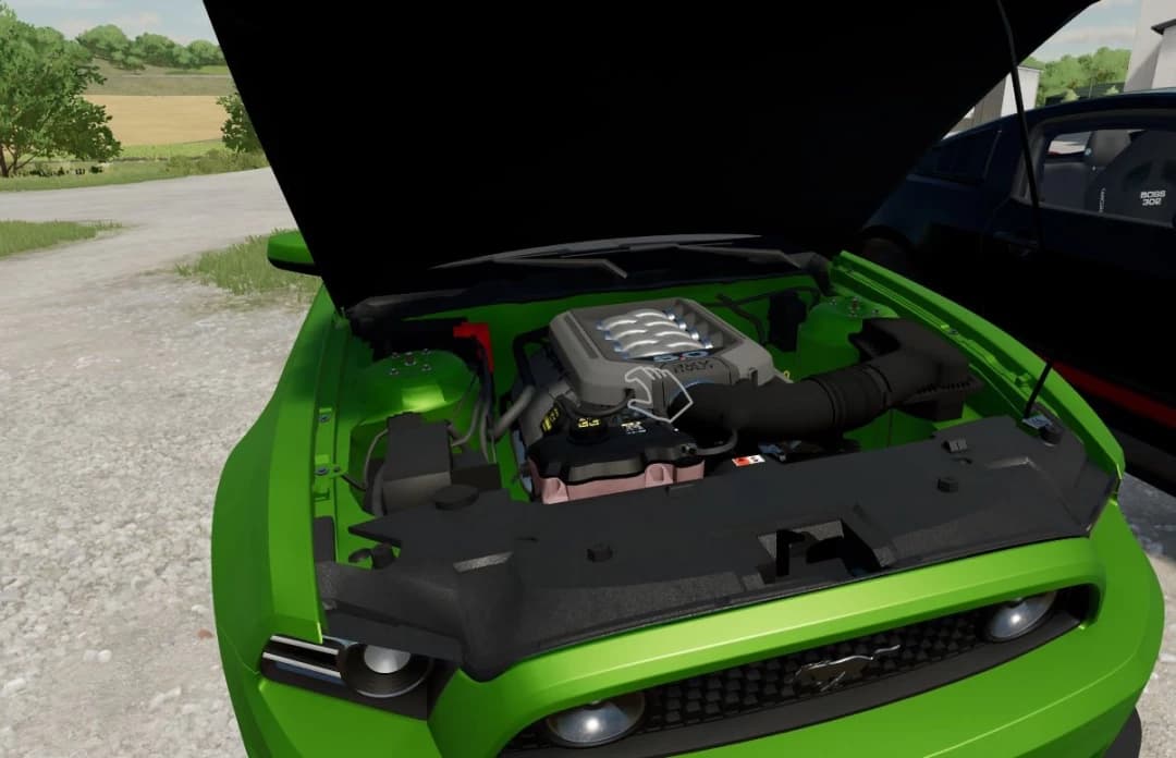 2013-2014 S197 MUSTANG 3