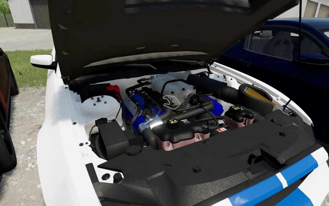 2013-2014 S197 MUSTANG