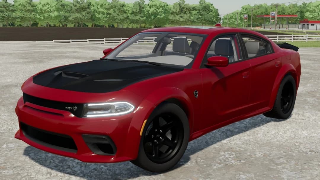 2015 DODGE CHARGER 4