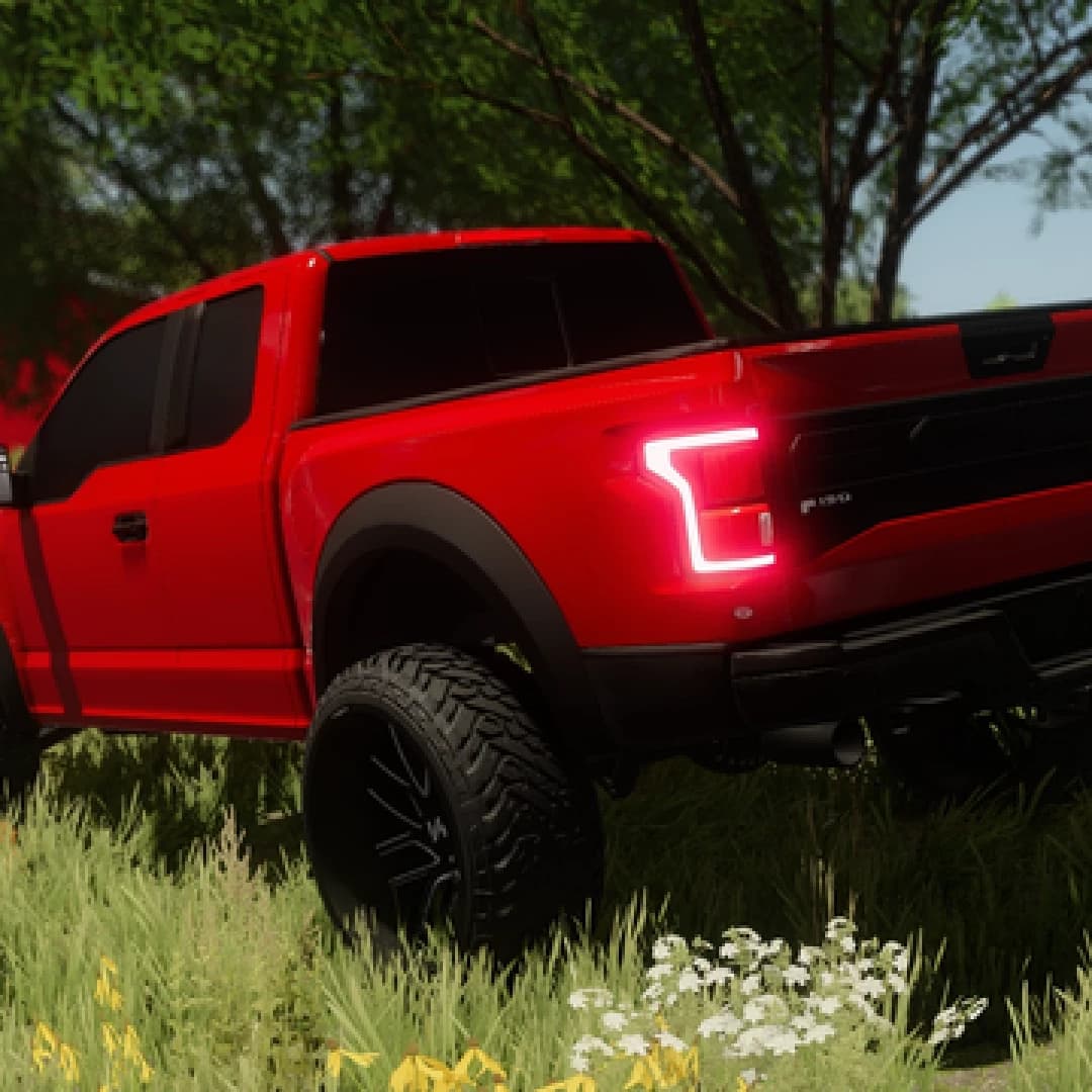 2017 FORD RAPTOR 4