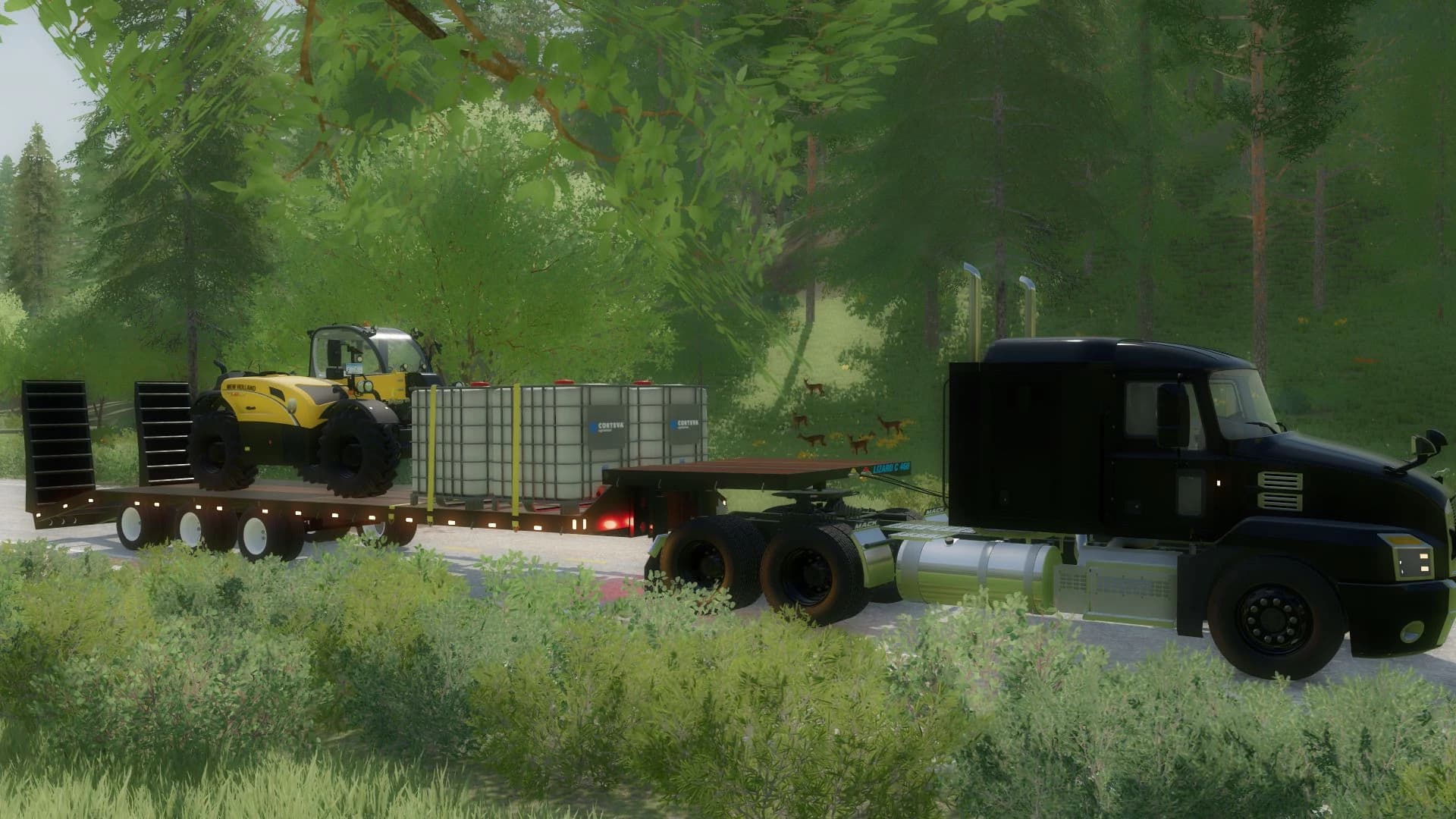 36FT CLASS C LOW LOADER 2