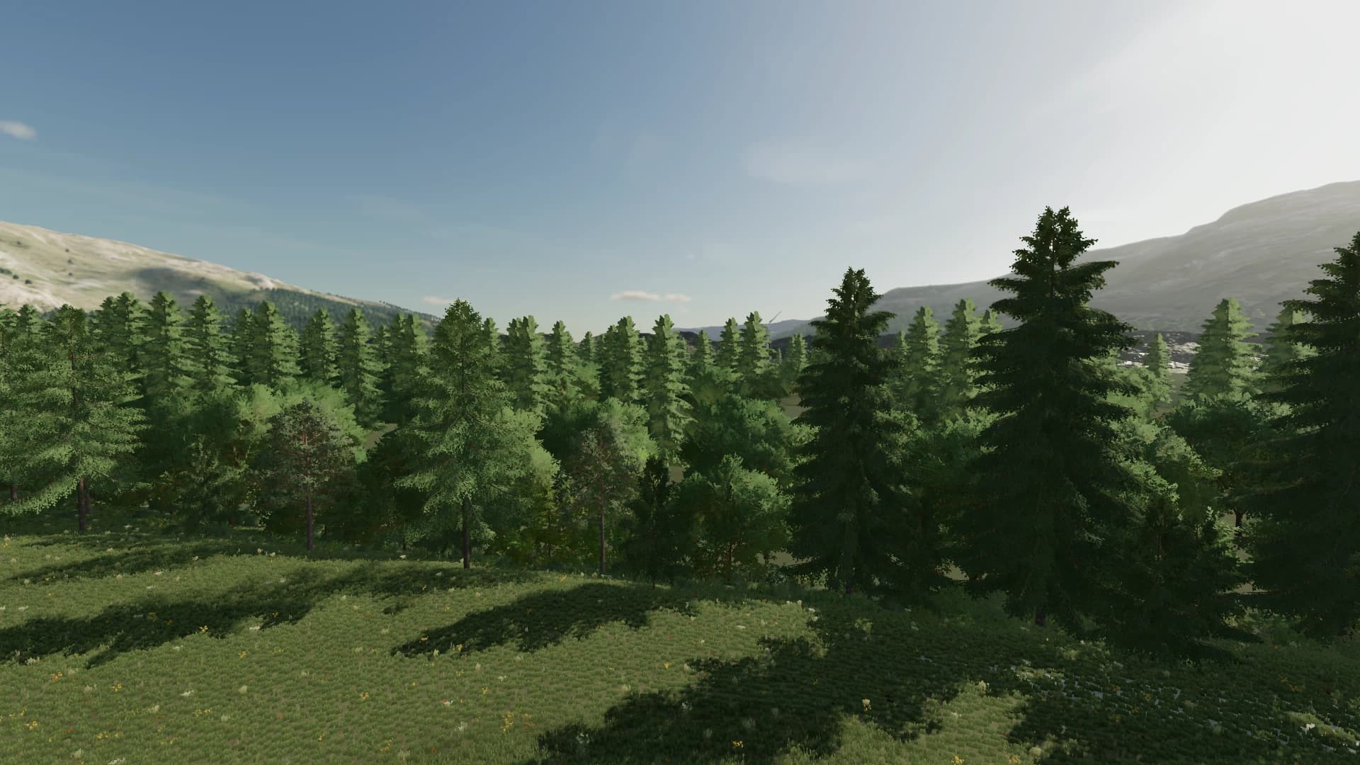 ABANDONED LANDS