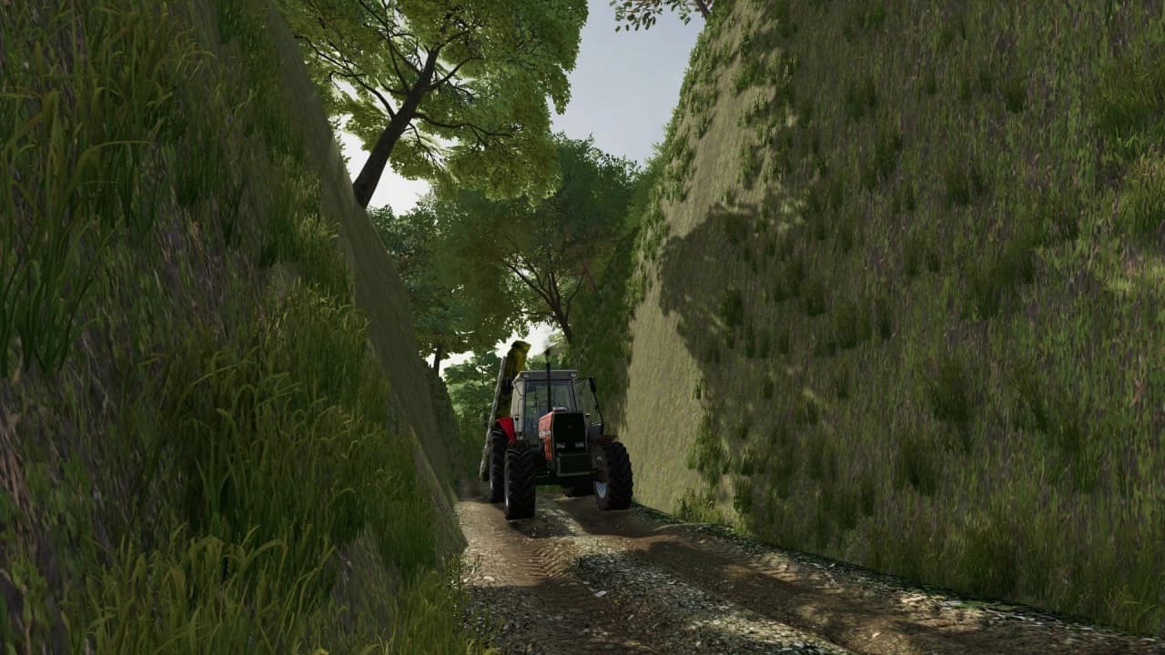 AGRO AZORES 5