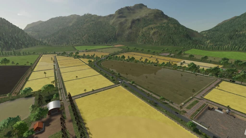 AGRO SUL RICE 5
