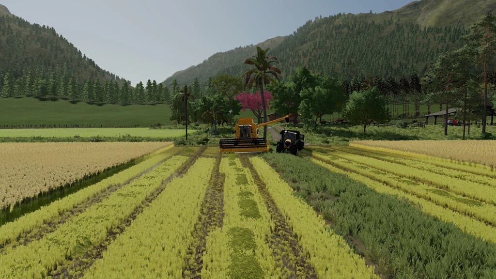 AGRO SUL RICE 2
