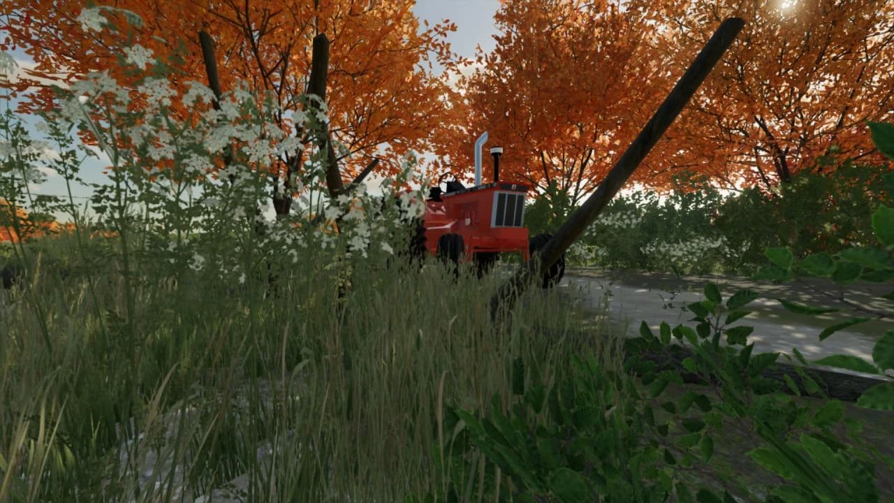 ALLIS CHALMERS D-21 3