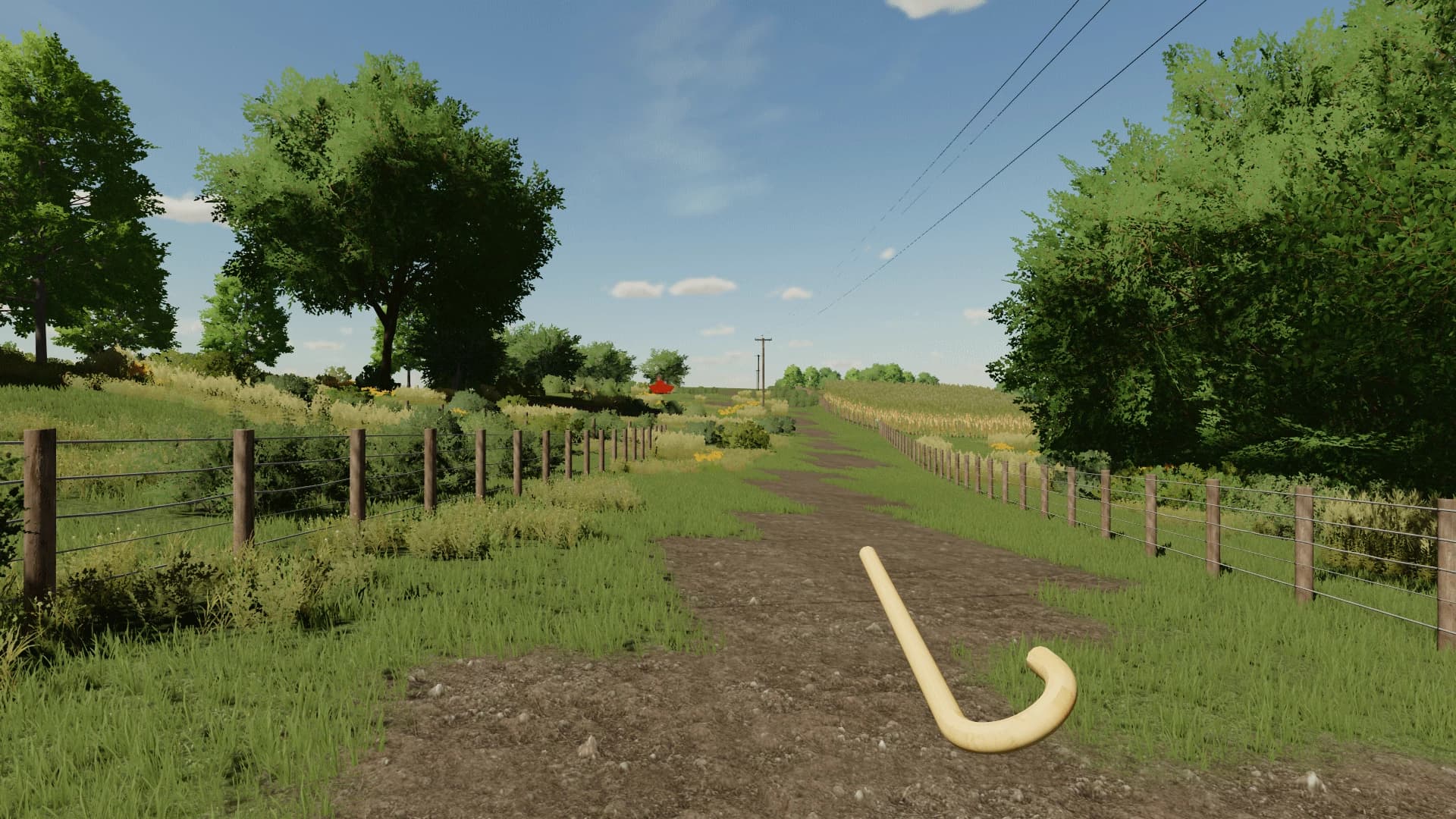 ANIMAL CANE 3