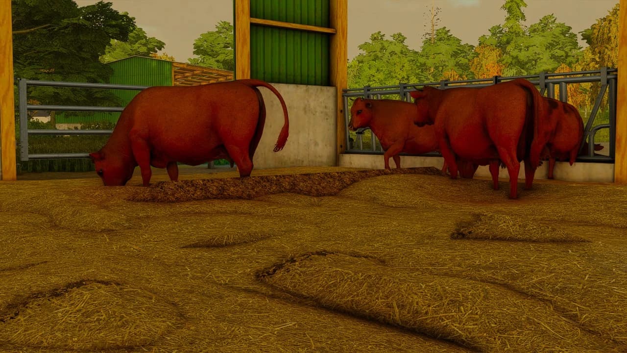 ANIMAL STALL 4