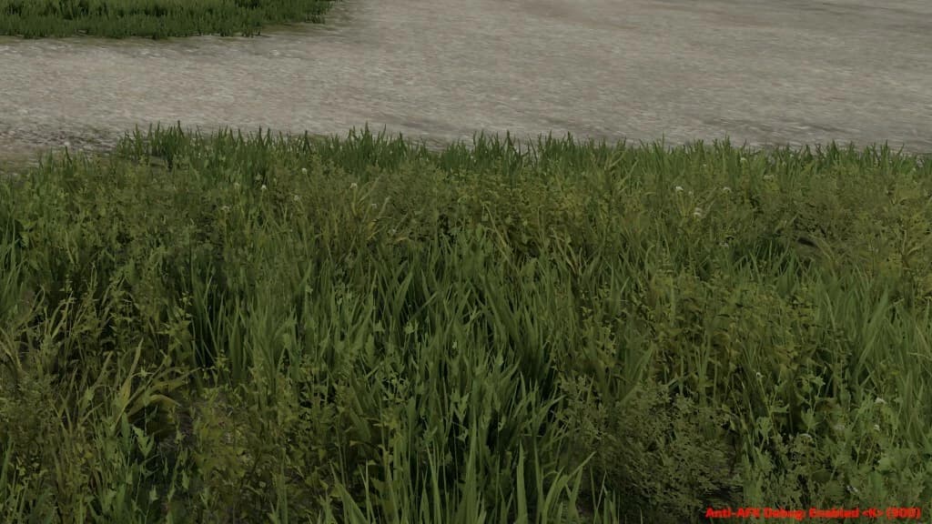 ANTI AFK 4