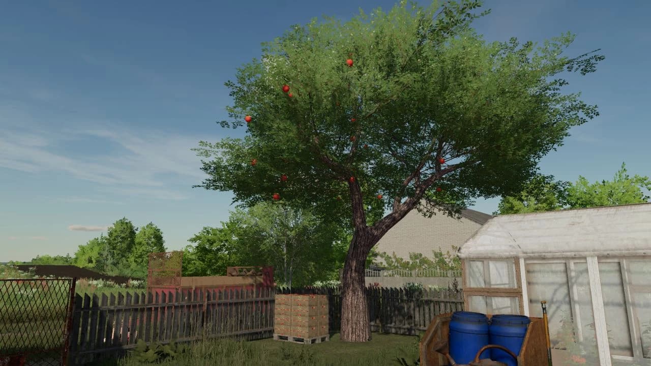 APPLE TREES 3