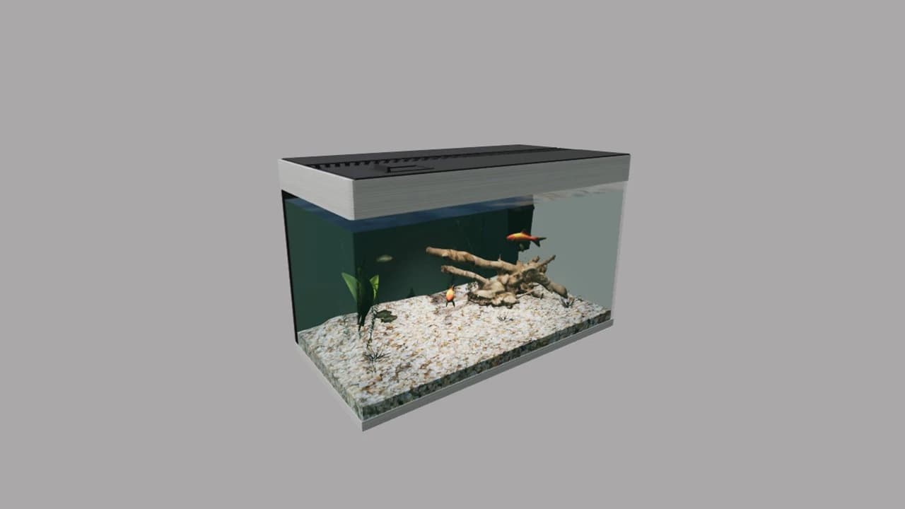 AQUARIUM LARGE 4