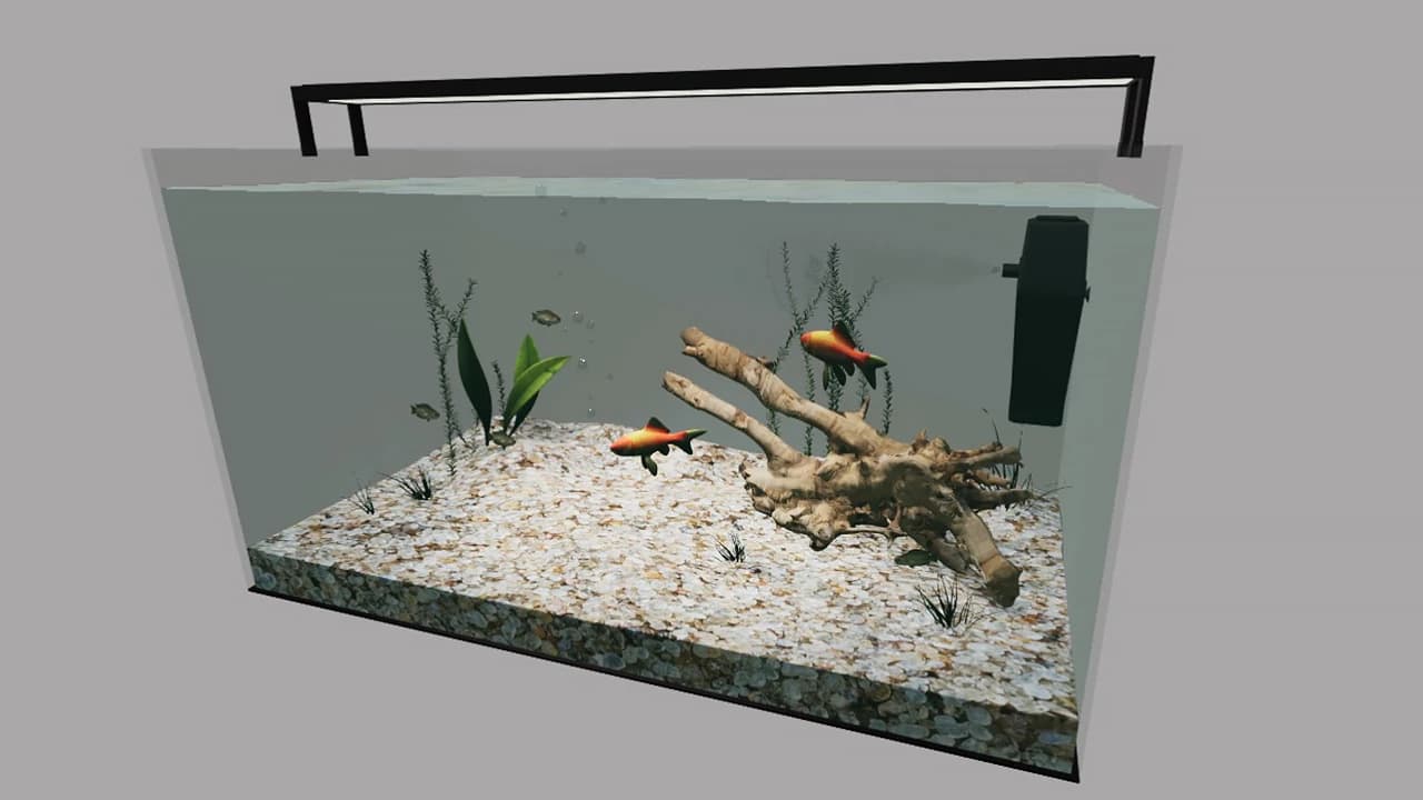 AQUARIUM LARGE 3