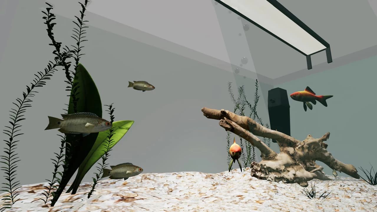 AQUARIUM LARGE 2